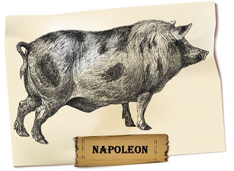 Does Napoleon Try To Warn Other Animals In Animal Farm